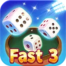 Fast3