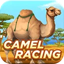 CamelRacing