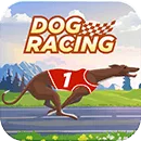 DogRacing