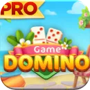 DominoPro